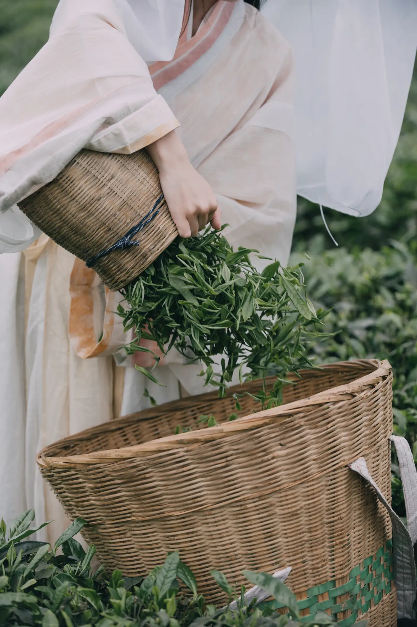 [YITUYU] 2022.05.12 Vol.855 – Tea picking under the east fence Eat for free#[20P]-19